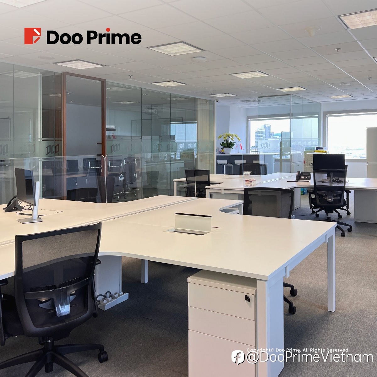 ✨ Văn Phòng Mới, Bước Tiến Mới ✨: Doo Prime Hân Hoan Giới Thiệu Văn Phòng Tại Singapore 🏢