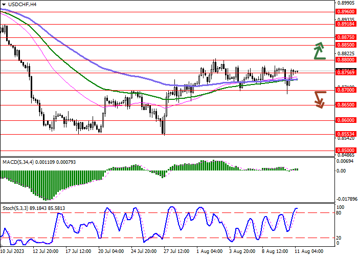 USD/CHF: THE INSTRUMENT IS DEVELOPING FLAT DYNAMICS