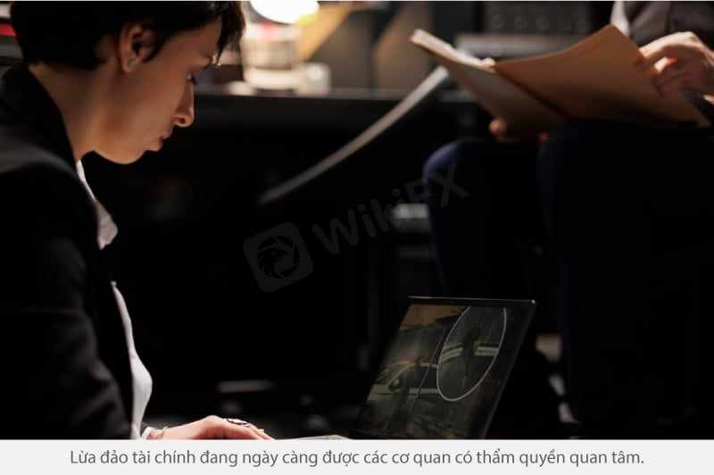feed-image-2