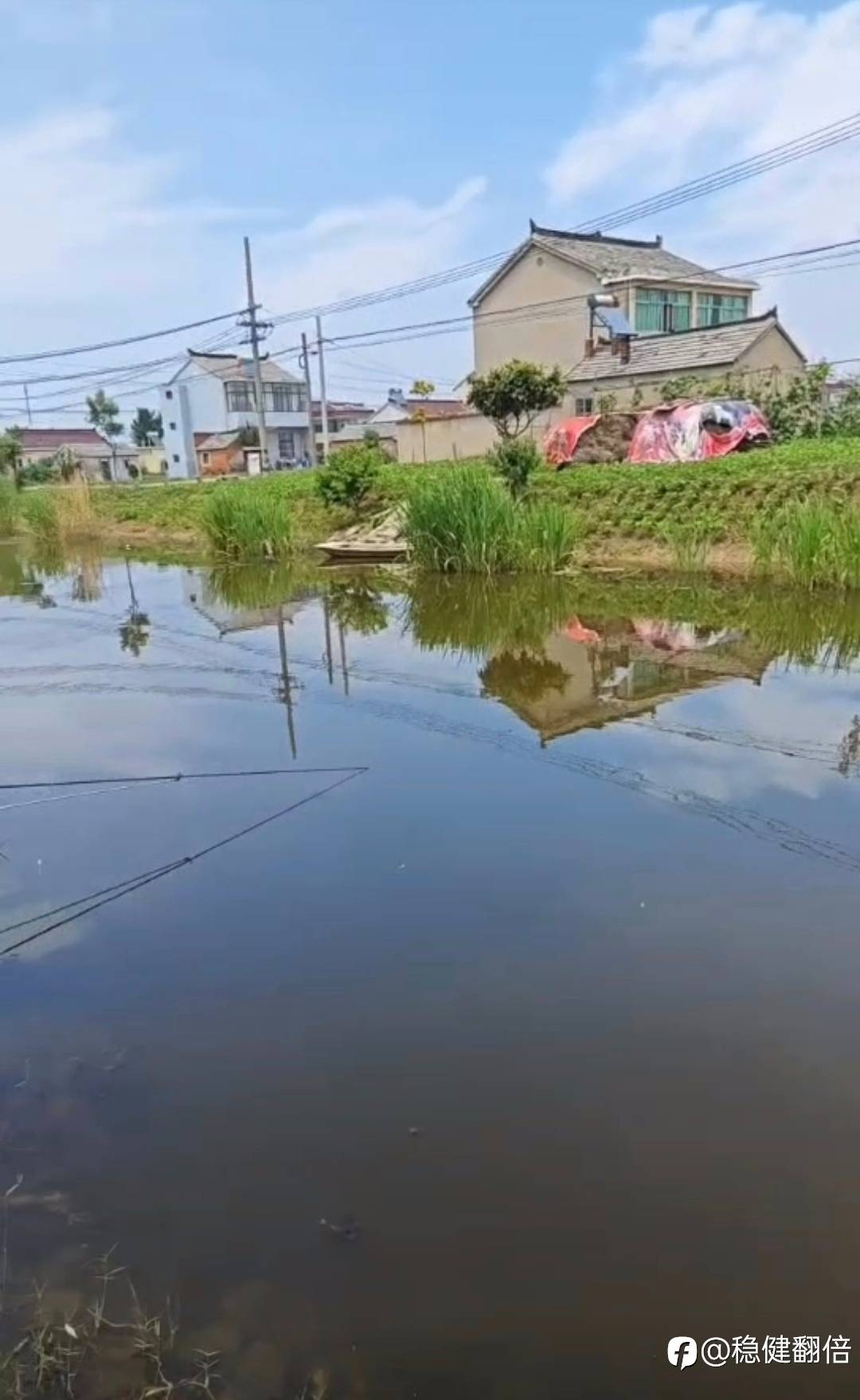 垂钓