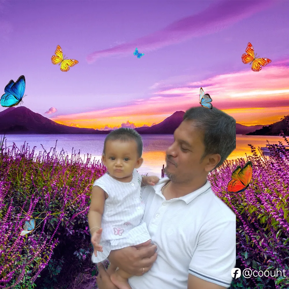 feed image