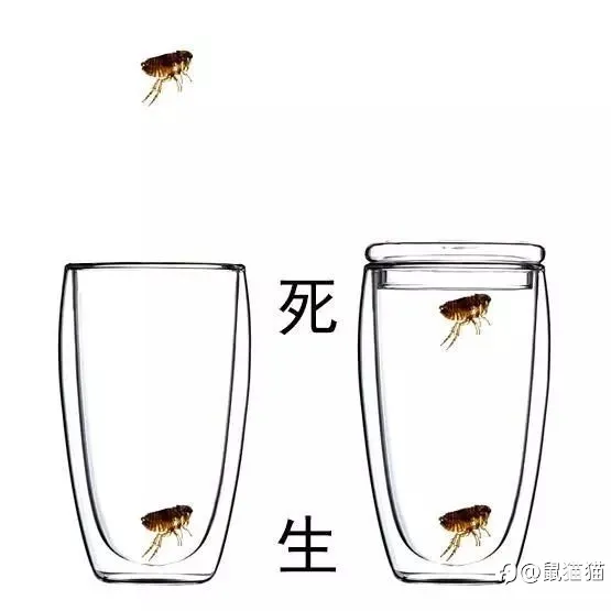 星星之火可以燎原