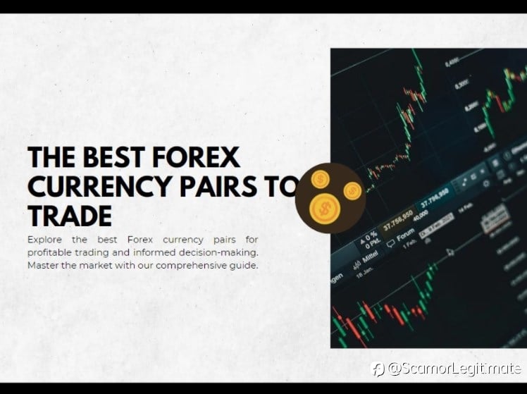 The Best Forex Currency Pairs to Trade in 2023