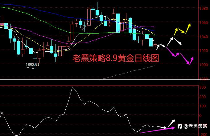老黑策略：8.9外汇、黄金、原油分析策略