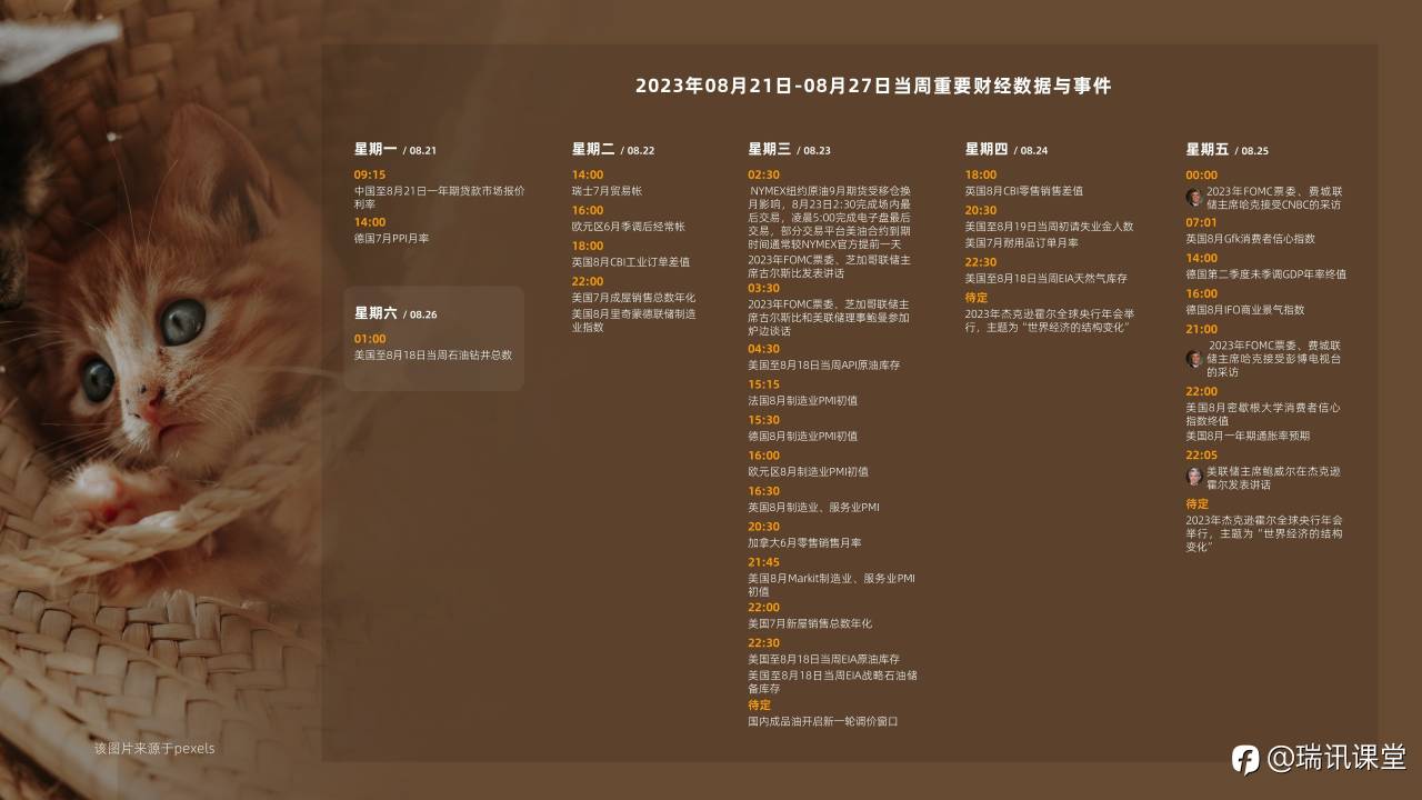 feed-image-0