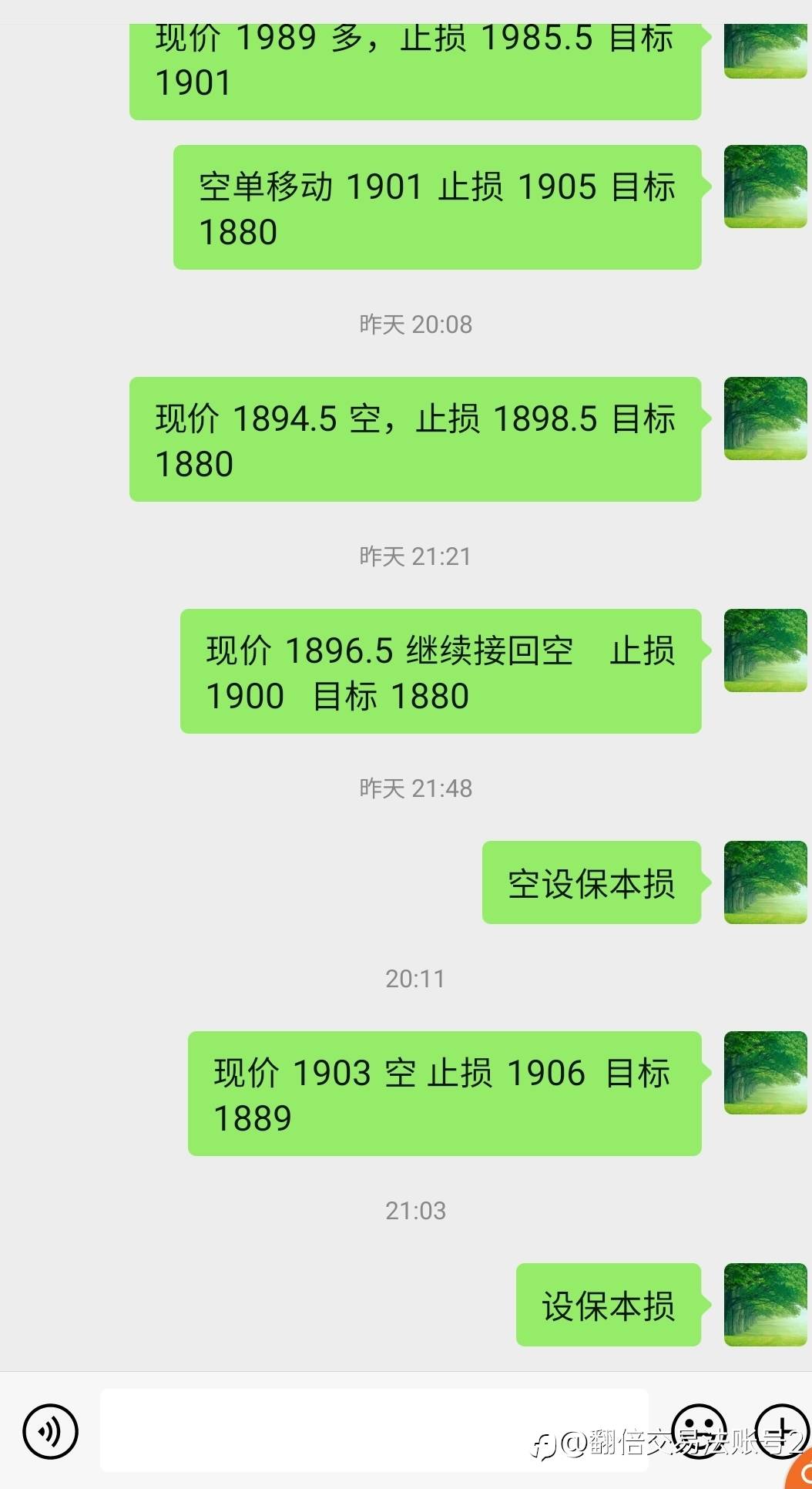 feed-image-1