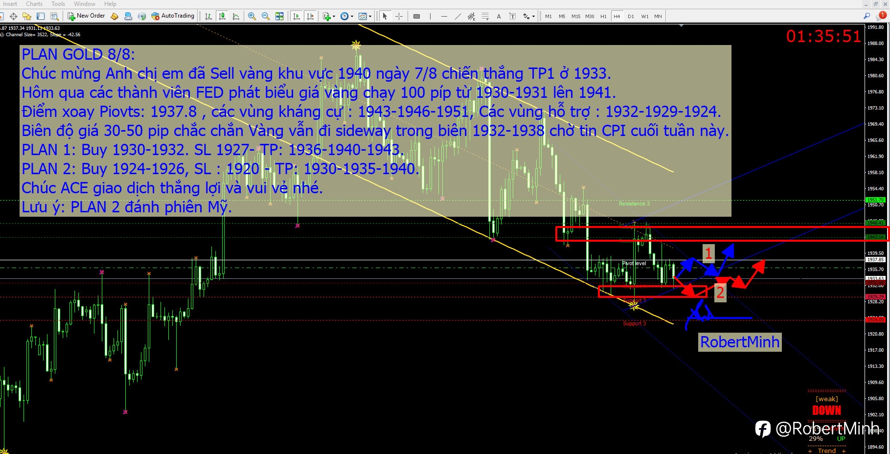 GOLD ngày 8/8