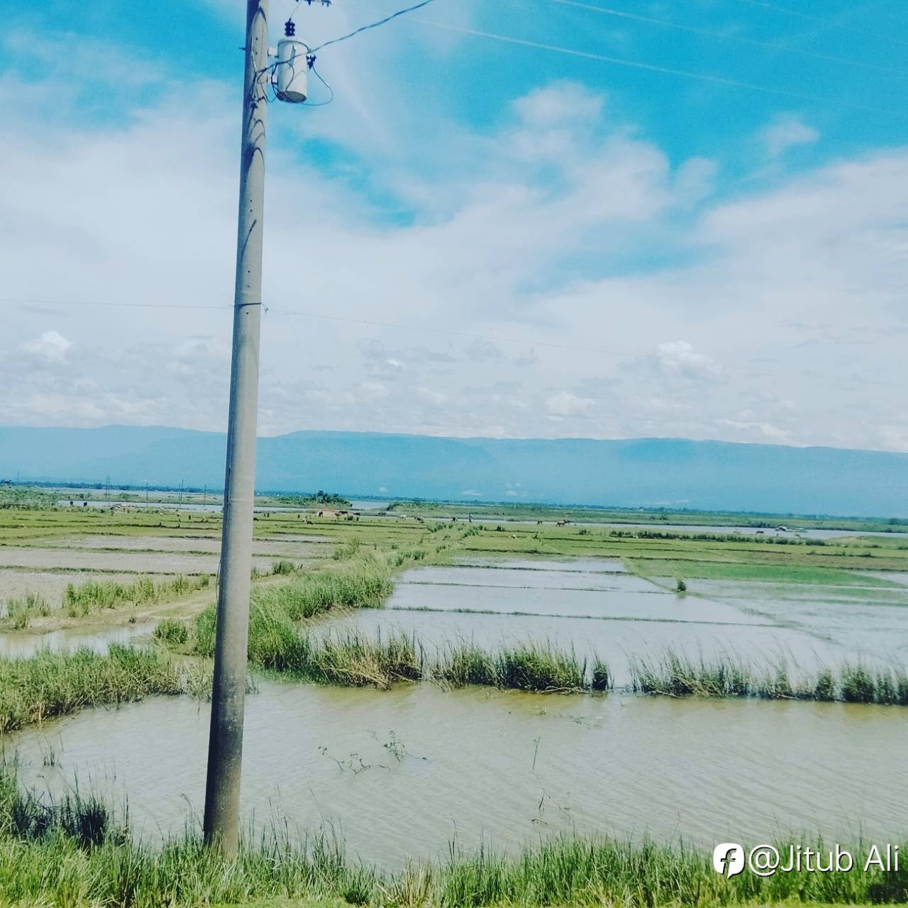 feed-image-1