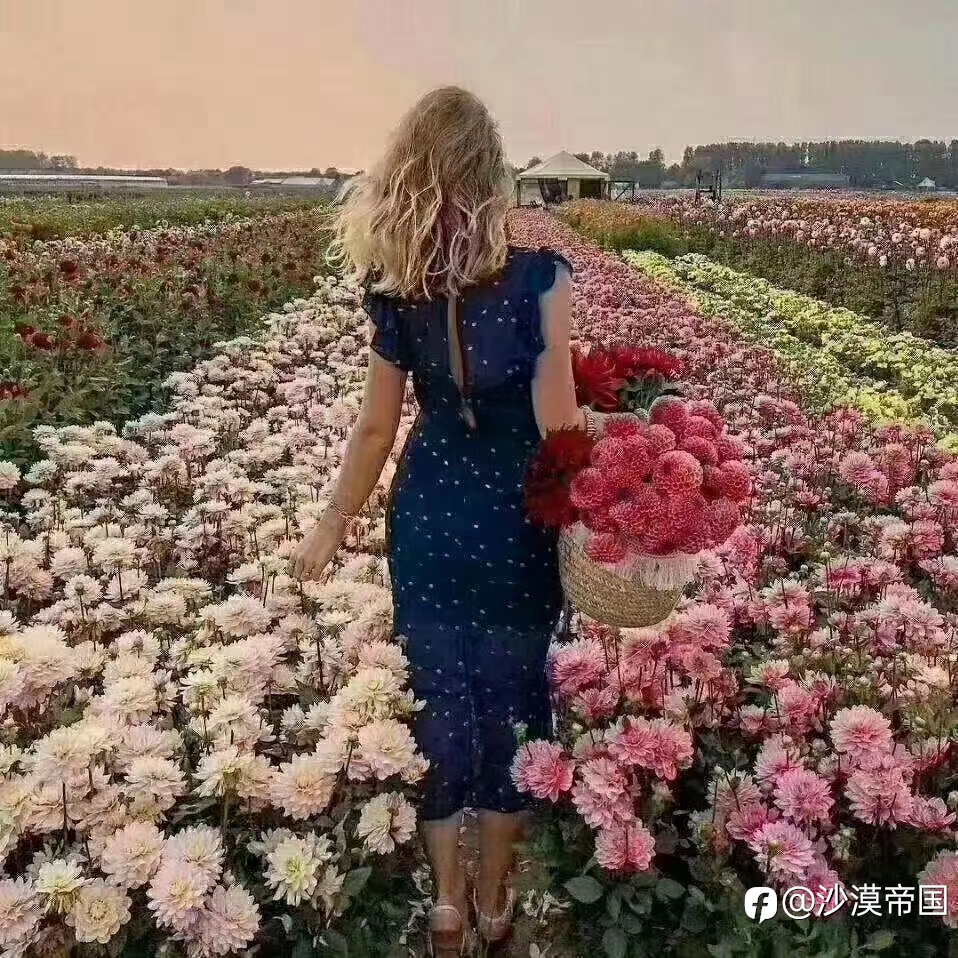 降低公务员退休金，能否成为减轻财政负担的第一步？