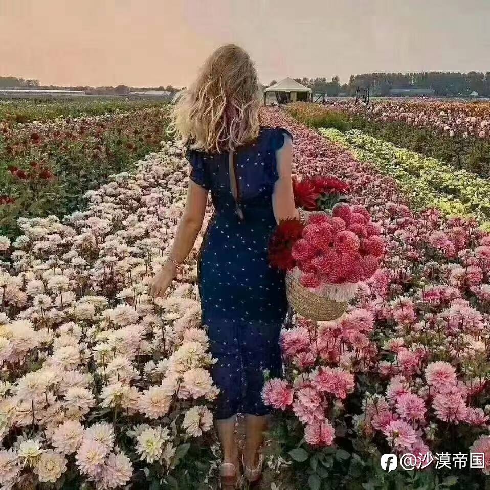 降低公务员退休金，能否成为减轻财政负担的第一步？