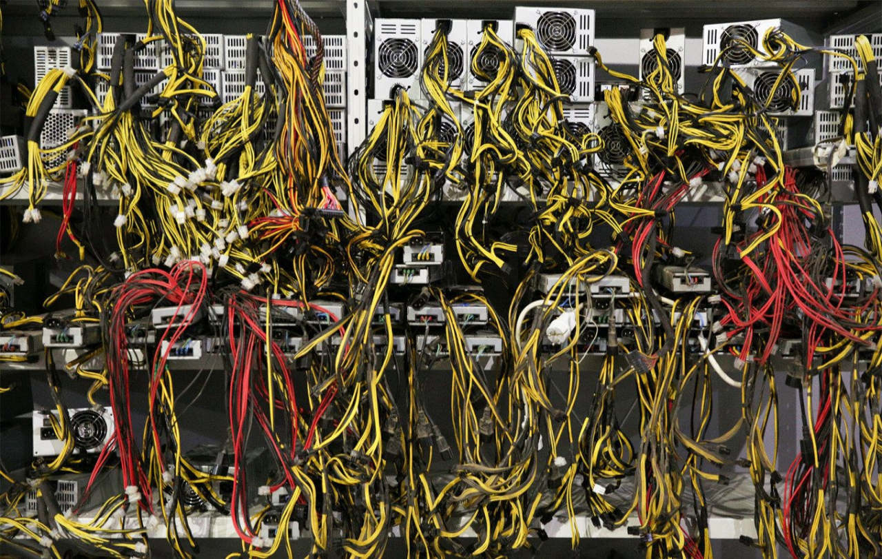 feed-image-3