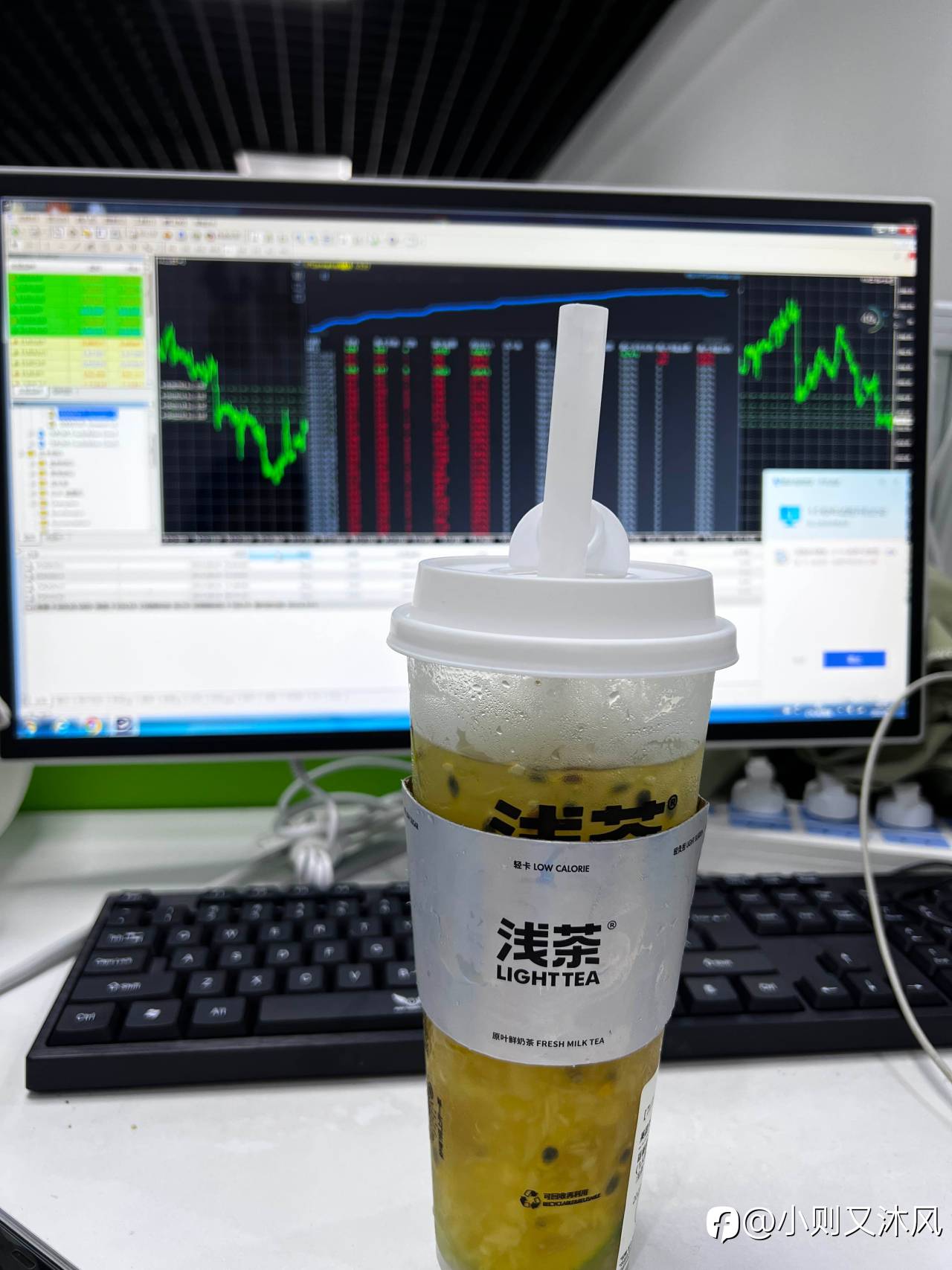 feed-image-0