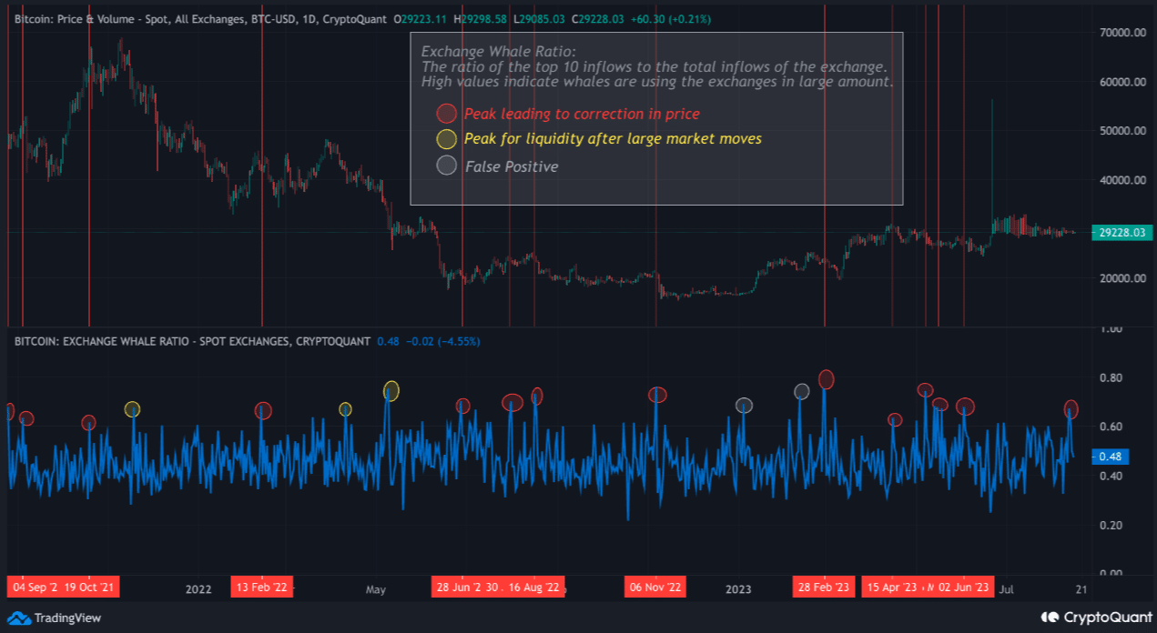 Một Đợt Bán Tháo Khác Có Định Hình Quỹ Đạo Giá Bitcoin Ngắn Hạn?