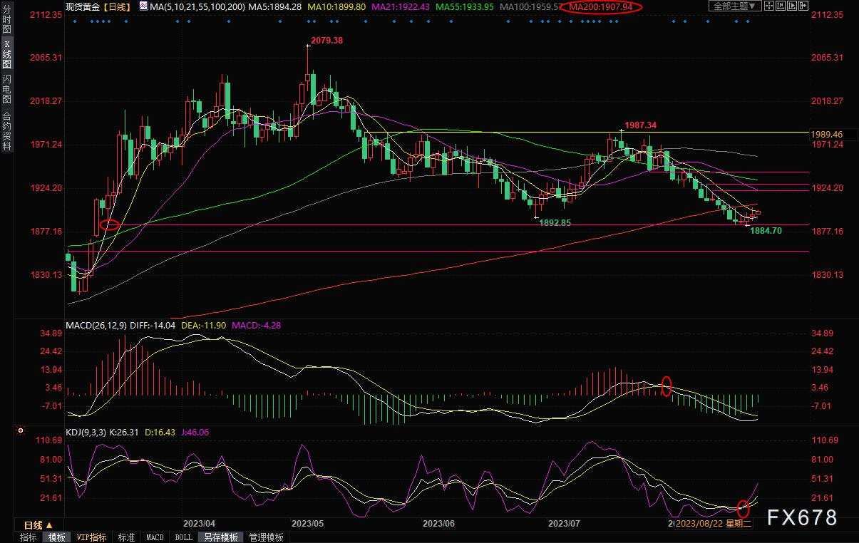 黄金交易提醒:欧美PMI数据来袭,多头或迎反攻机会?仍需关注这一大事