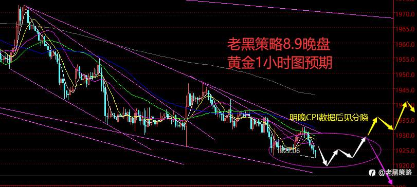 老黑策略：8.9晚盘外汇、黄金、原油分析策略