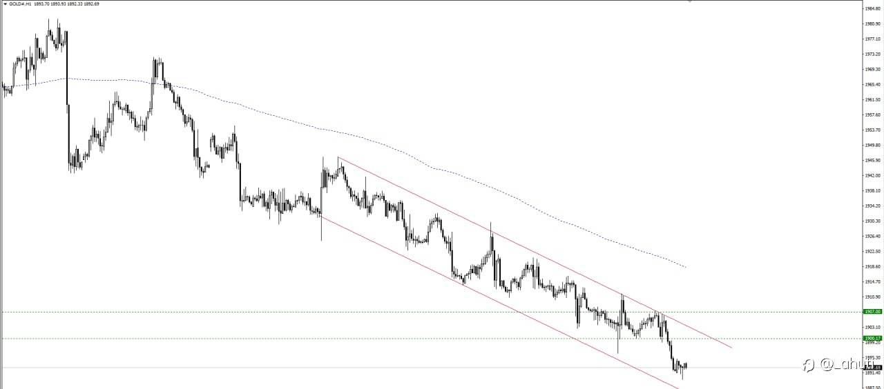 PLAN GOLD 17/8/23