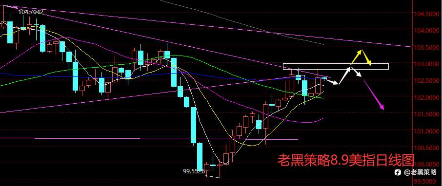 老黑策略：8.9外汇、黄金、原油分析策略