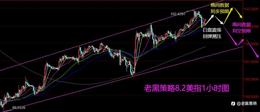 老黑策略：8.2外汇、黄金、原油分析策略