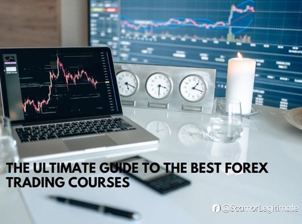 The Beginners 5 Best Forex Trading Courses！