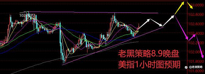 老黑策略：8.9晚盘外汇、黄金、原油分析策略