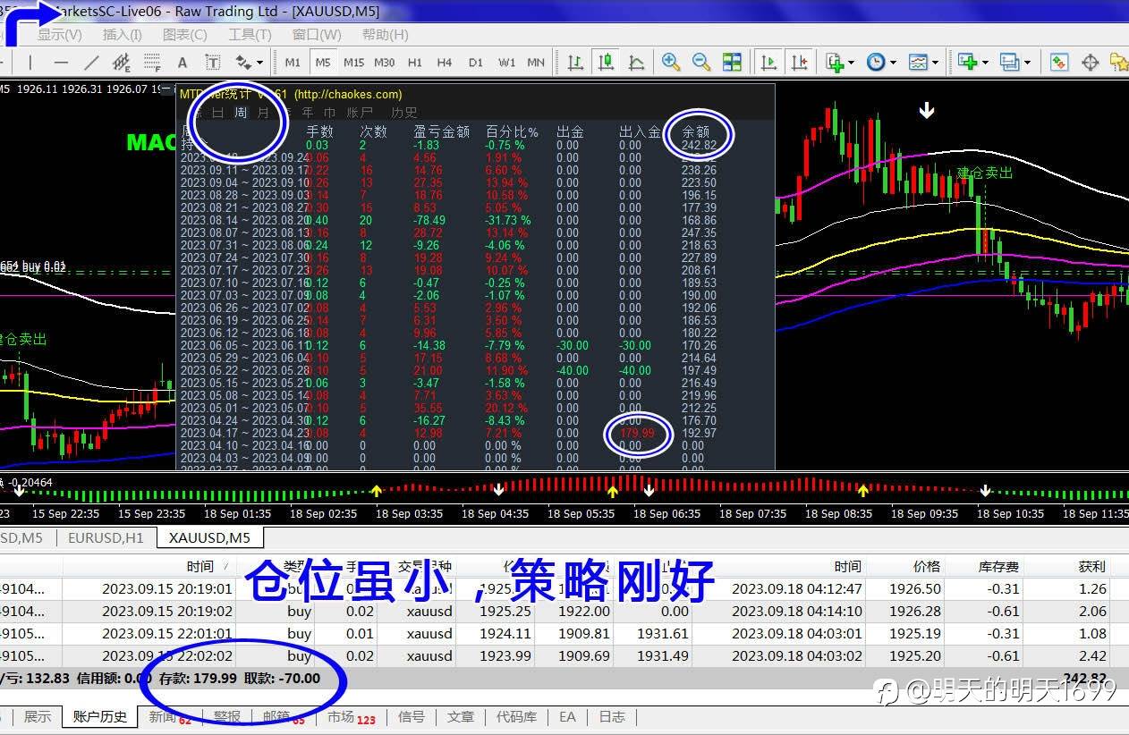 feed-image-2
