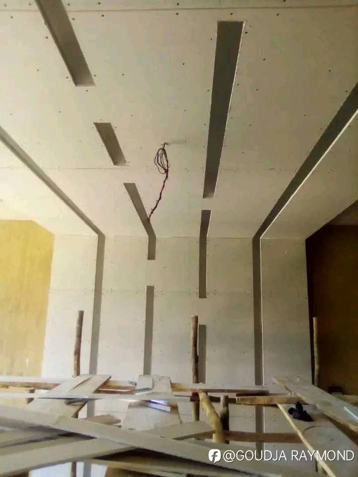 feed-image-1