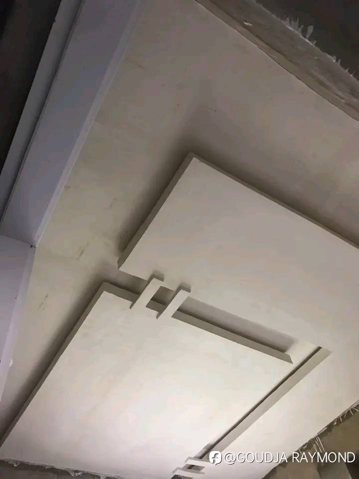 feed-image-1