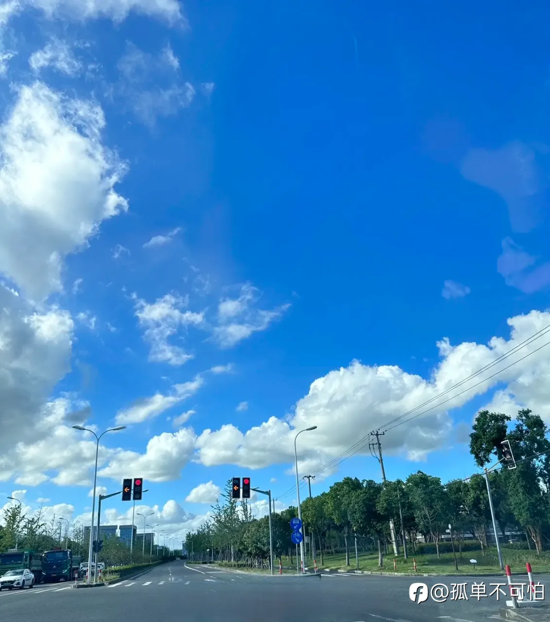 feed image