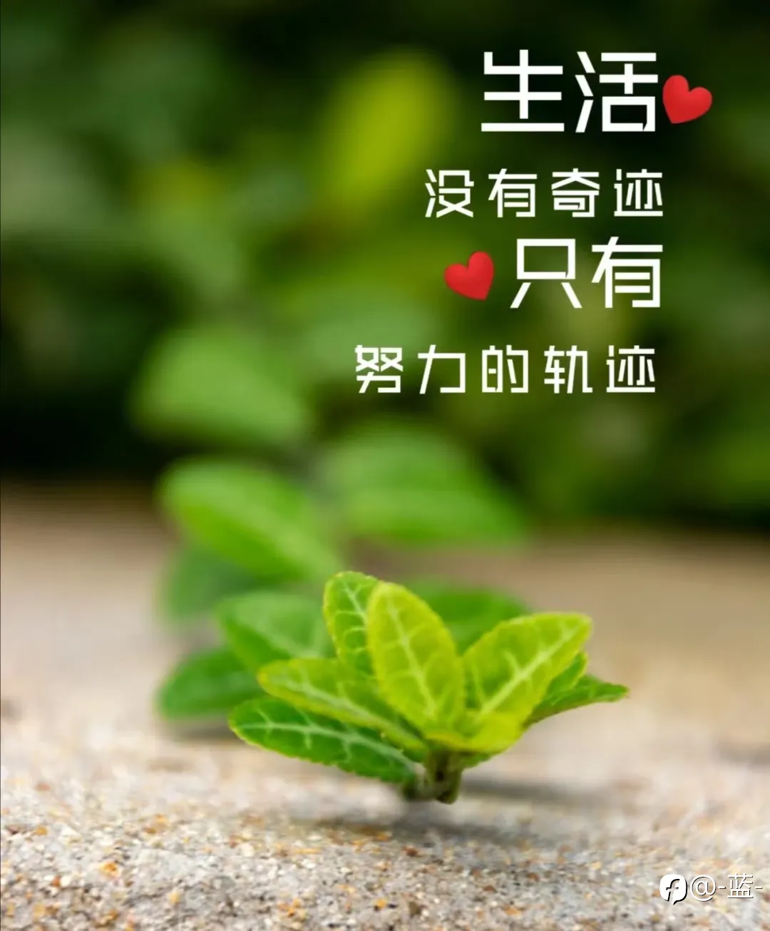 越努力，越幸运