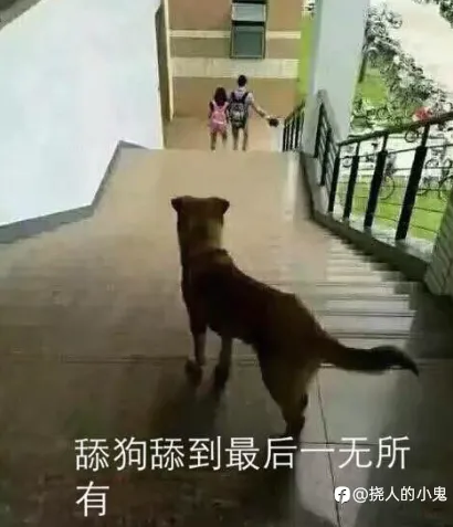 李佳琪事件的深度思考————“舔狗”一词的发明，具有划时代的意义