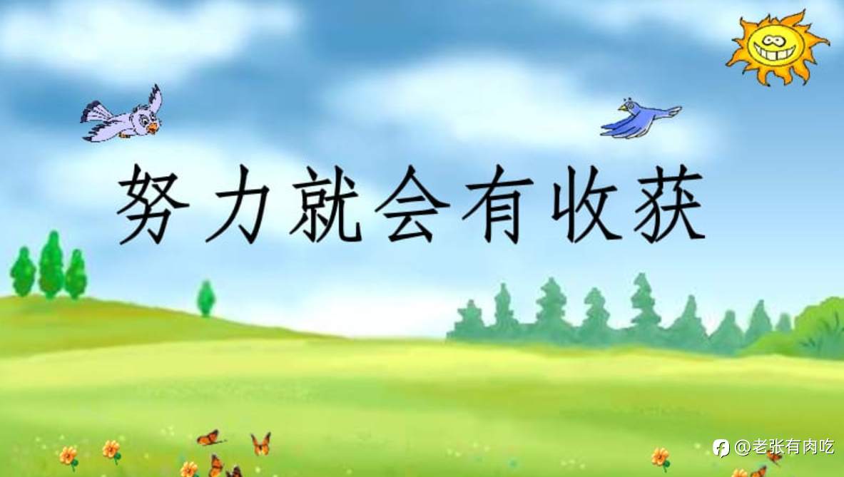 越努力,越亏损?