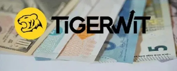 老虎“换皮”？TigerWit出售，更名为Calico
