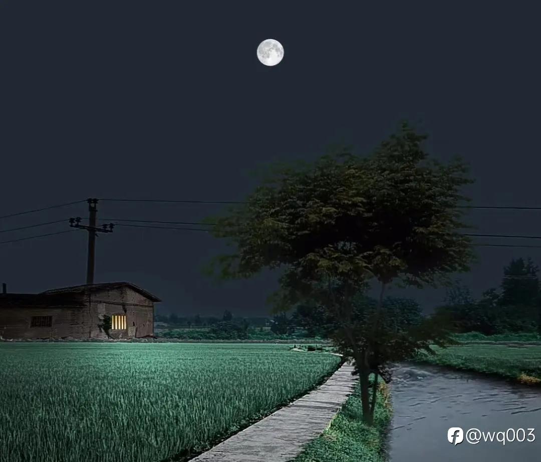 交易,真的并不是生活的全部...