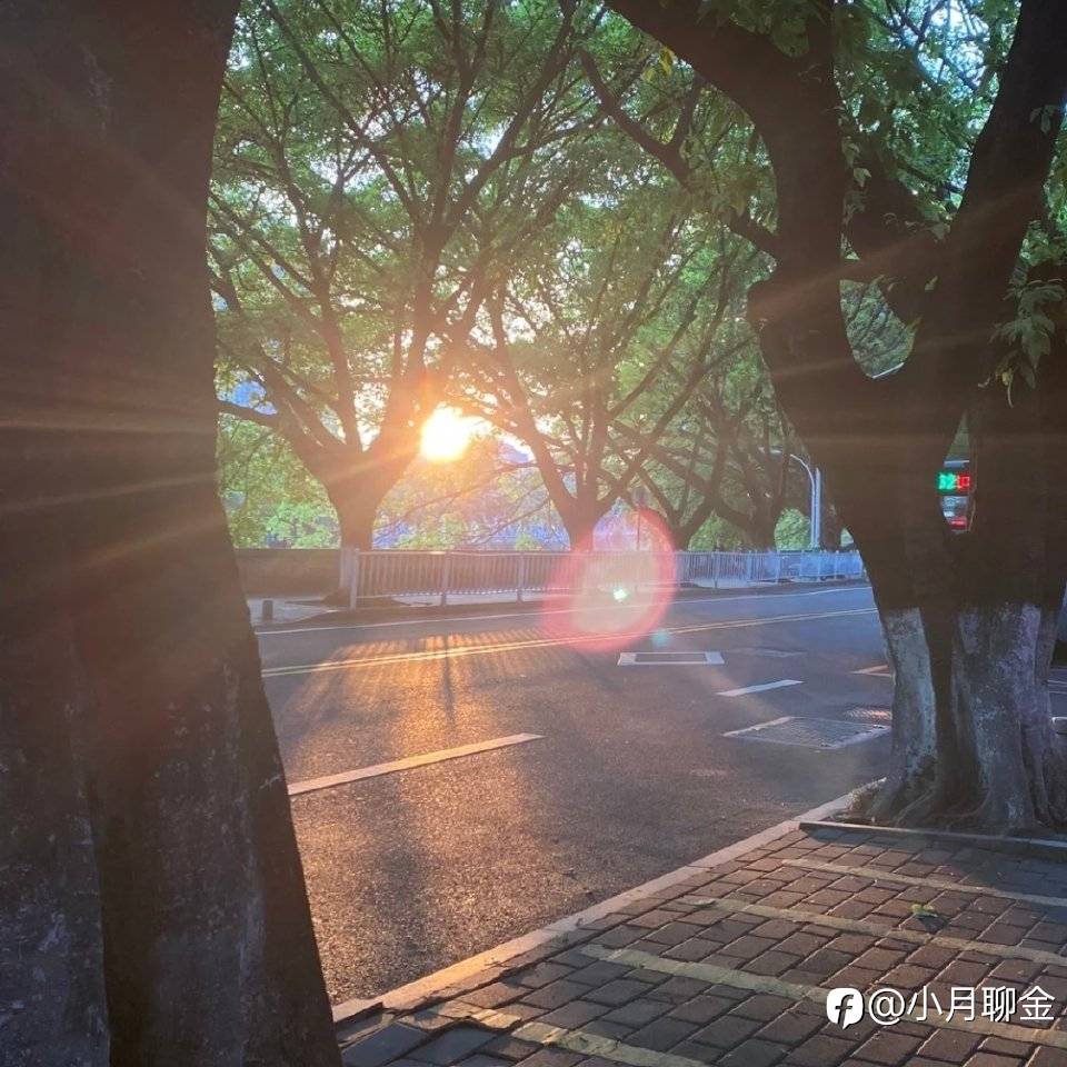 外汇总结