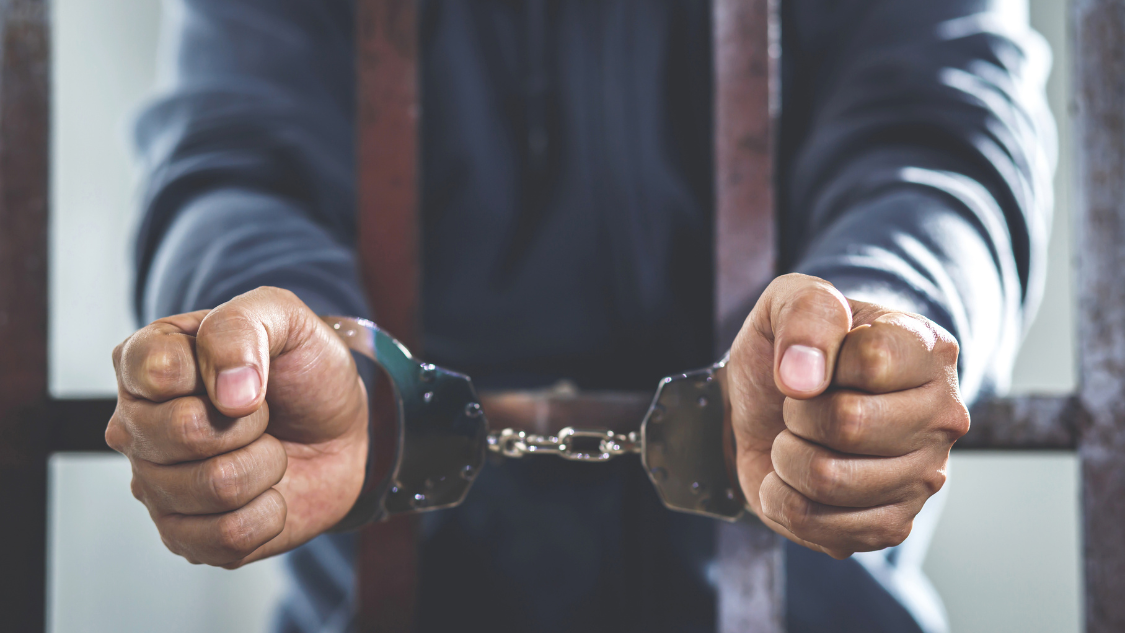 feed-image-0