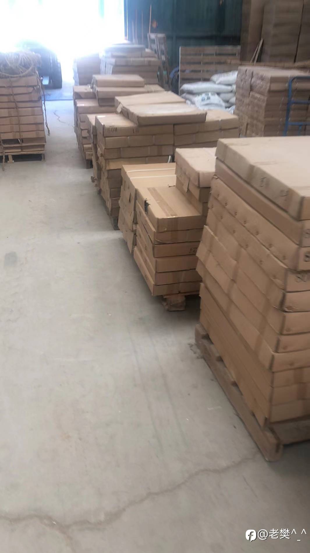 feed-image-1