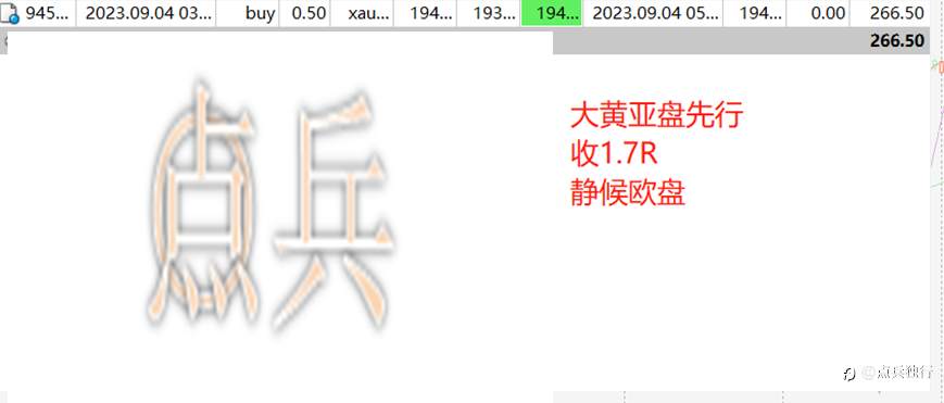 feed-image-1