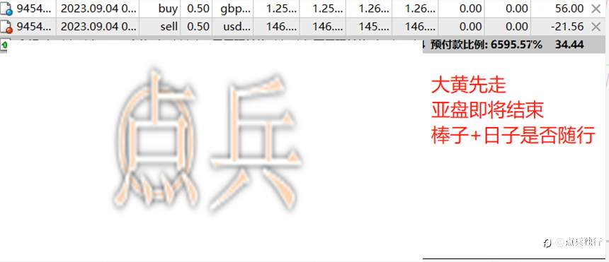 feed-image-0