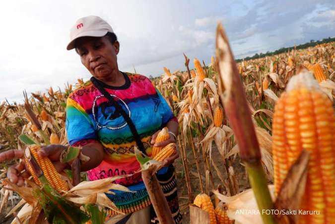 Harga Pangan Masih Tinggi, Pemerintah Kelabakan Mengurus Tata Niaga Pangan