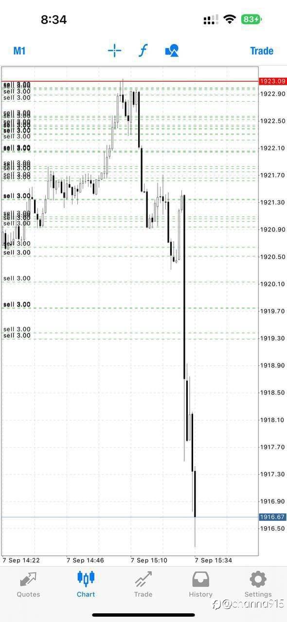 feed-image-1