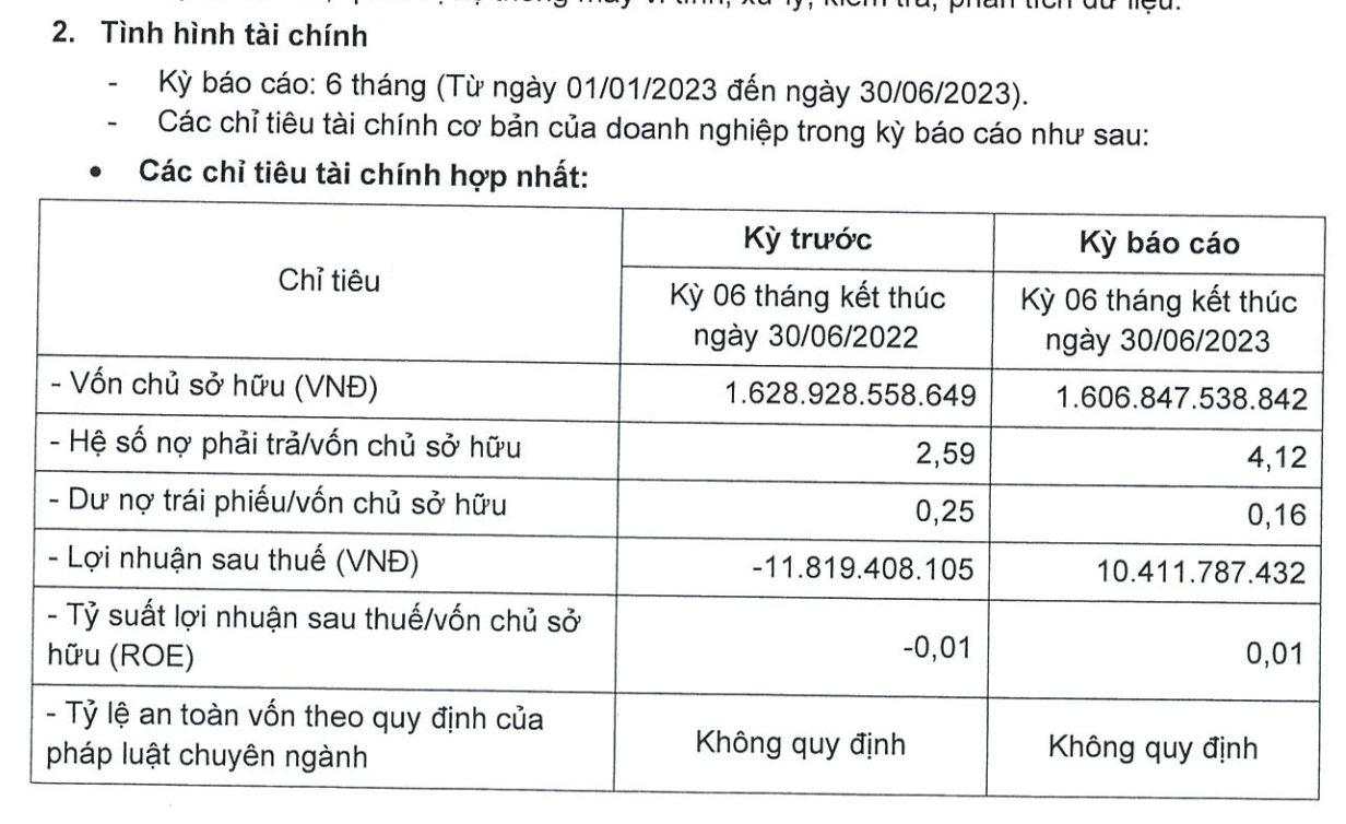Cổ đông lớn của Chứng khoán Đại Nam báo lãi trở lại, nợ phải trả đang gấp hơn 4 lần vốn chủ
