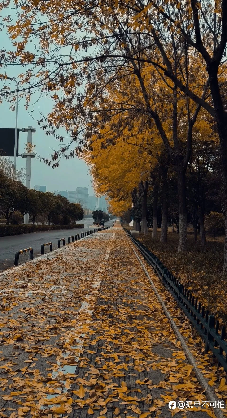 feed image