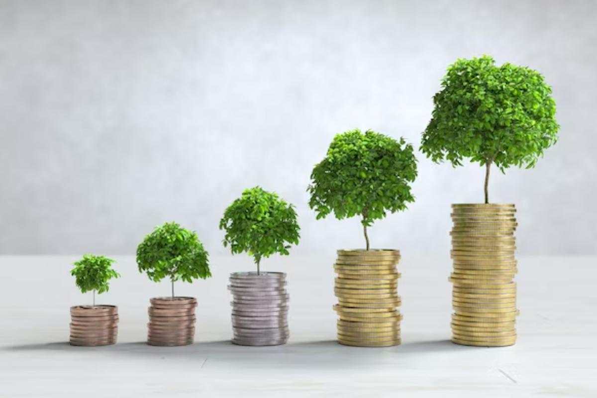 Apa Itu Diversifikasi: Pengertian, Tujuan, Jenis, dan Contohnya