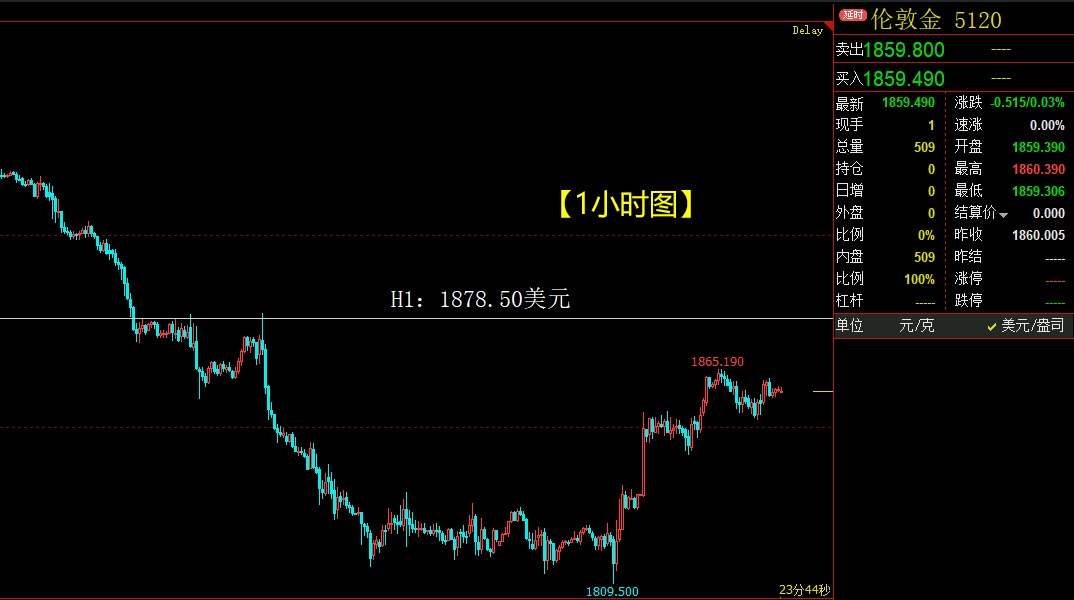 黄金疯狂暴涨5000点，白银迎来千点大反弹！