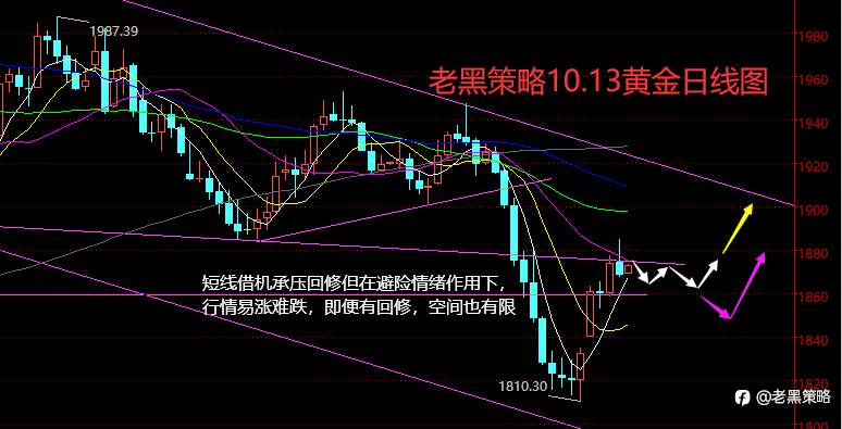 ​老黑策略：10.13外汇、黄金、原油分析策略