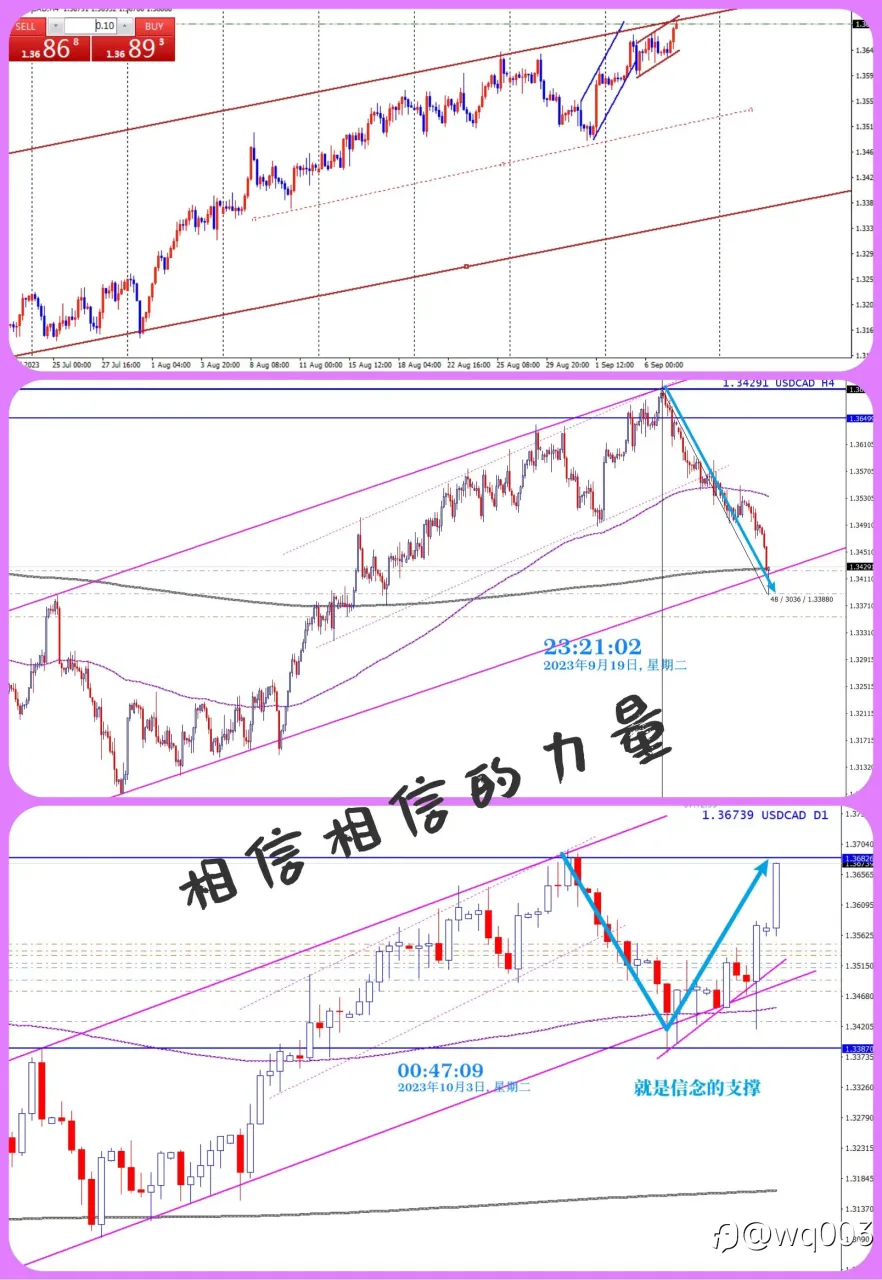相信相信的力量，胜过所有