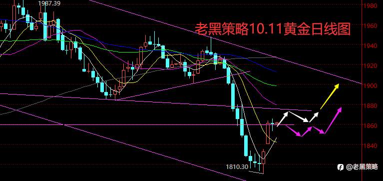 老黑策略：10.11外汇、黄金、原油分析策略