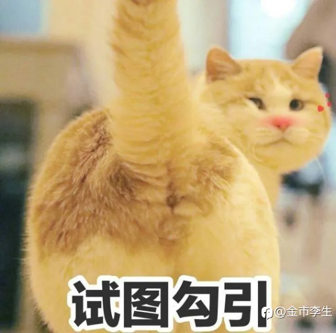 一本正经科普套息