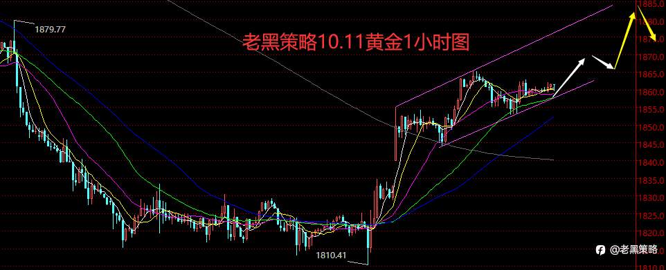 老黑策略：10.11外汇、黄金、原油分析策略