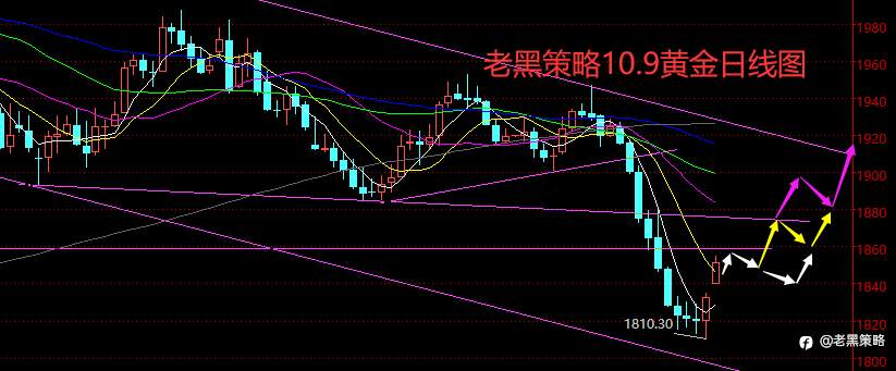 老黑策略：10.9外汇、黄金、原油分析策略